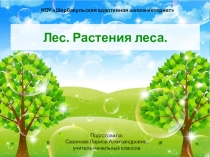 Презентация к уроку по миру природы и человека на тему Лес. Растения леса (4 класс)