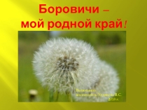 Презентация Моя родина - город Боровичи