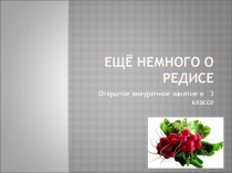 Презентация к внеурочному занятию Ещё немного о редисе (3 класс)