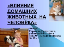 Презентация Влияние домашних животных на человека