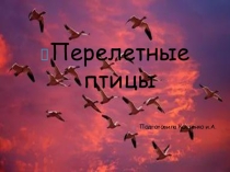 Презентация ПЕРЕЛЕТНЫЕ ПТИЦЫ (пальчиковая гимнастика)