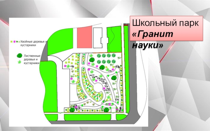 Школьный парк Гранит Науки Школьный парк «Гранит науки» Школьный парк «Гранит науки»