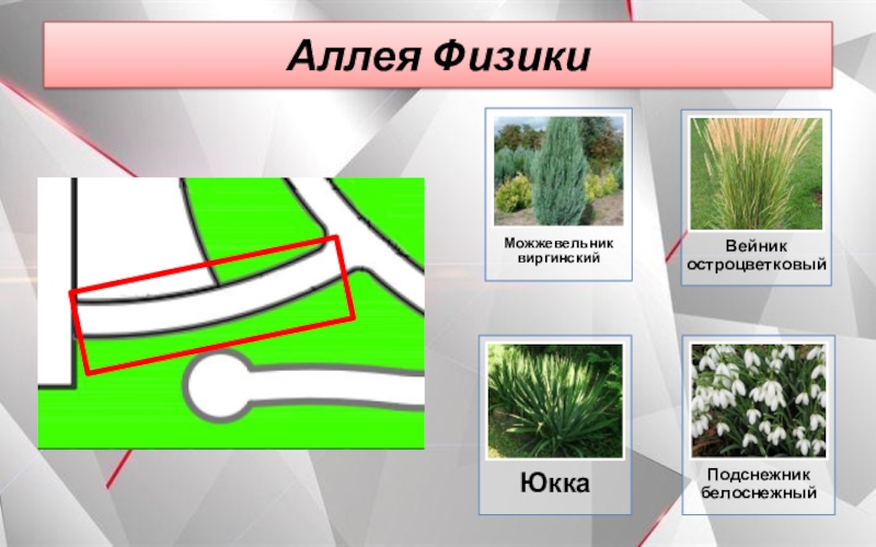 Школьный парк Гранит Науки Аллея Физики Аллея Физики