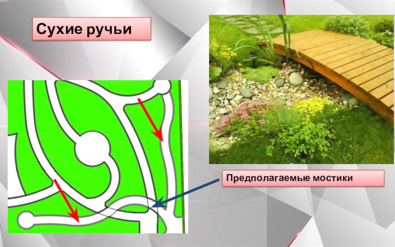 Школьный парк Гранит Науки Сухие ручьиПредполагаемые мостики Сухие ручьиПредполагаемые мостики