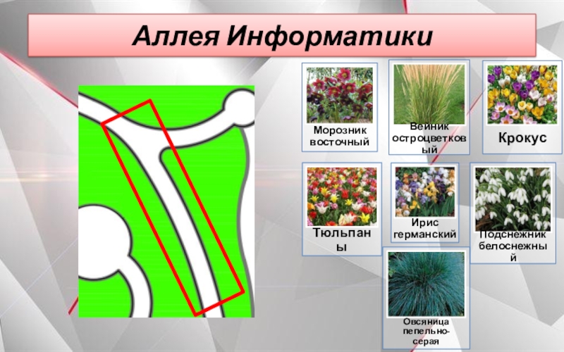 Школьный парк Гранит Науки Аллея Информатики Аллея Информатики