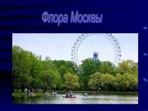 флора Москвы