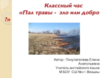 Презентация. Классный час по экологическому воспитанию учащихся на тему Пал травы зло или добро? (5-11 классы)