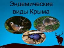 Презентация по биологии на тему эндемики крыма