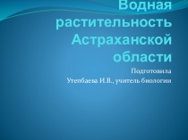 Презентация по краеведению Астраханской области на тему Водная растительность  6 класс