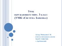 Конспект урока окружающего мира по темеСезонные изменения. Зима(1 класс) с презентацией