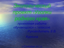 Презентация к научно- практической конференции.