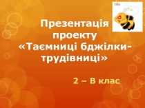 Презентация проекта (2 класс)