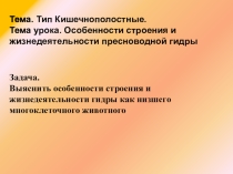 Презентация по биологии на тему Кишечнополостные
