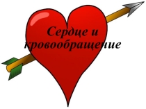 Презентация по биологии на тему: Строение и работа сердца(8 класс)