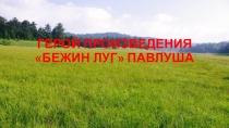 Презентация к уроку литературы. Бежин луг 6 класс