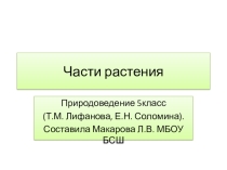 Презентация по Природоведению Части растения 5кл. УО, 8 вида