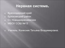 Презентация по биологии на тему Нервная система