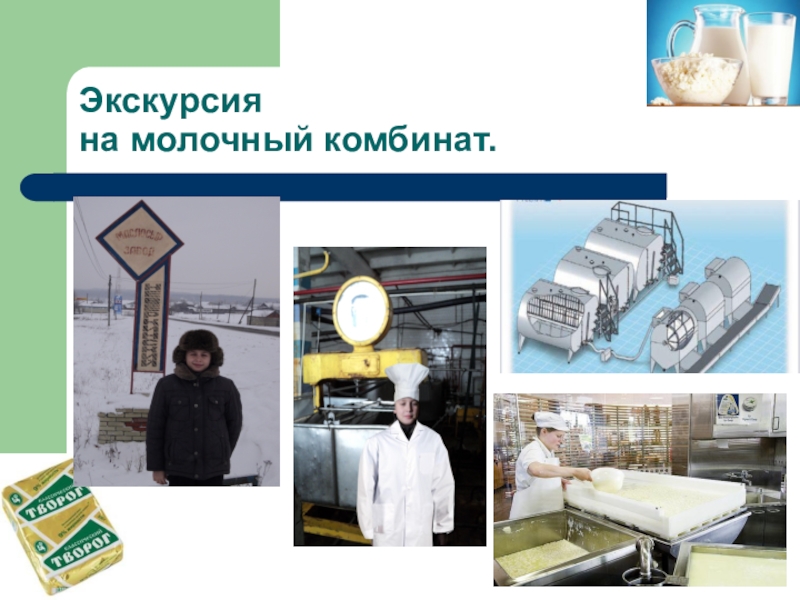 Презентация научно-исследовательской работы О ПОЛЬЗЕ ТВОРОГА В ПИТАНИИ ШКОЛЬНИКА Экскурсия на молочный комбинат. Экскурсия на молочный комбинат.
