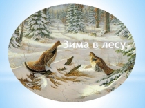 Презентация по развитию речи на тему Письмо рассказа Зимой в лесу.