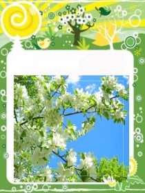 Презентация по окружающему миру Уголок природы Весна