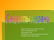 Презентация исследовательской работы Секреты герани