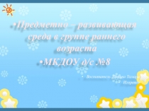 Предметно - развивающая среда