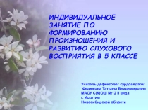 ИНДИВИДУАЛЬНОЕ ЗАНЯТИЕ ПО ФОРМИРОВАНИЮ ПРОИЗНОШЕНИЯ И РАЗВИТИЮ СЛУХОВОГО ВОСПРИЯТИЯ В 5 КЛАССЕ