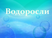Презентация по биологии ВОДОРОСЛИ 5 класс