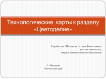 Технологические карты к разделу Цветоделие
