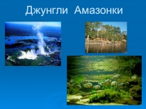 Презентация по окружающему миру на тему Экваториальные леса Южной Америки (4 класс)