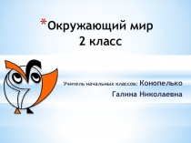 Презентация по окружающему миру на тему Что изображают на карте по программе Школа 2100