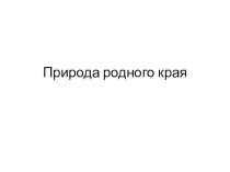 Презентация по окружающему миру на тему Природа родного края