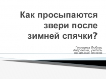 Презентация по окружающему миру на тему Как просыпаются звери после зимней спячки.