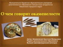 Презентация по геологии на тему О чем говорят окаменелости (5-11 класс)