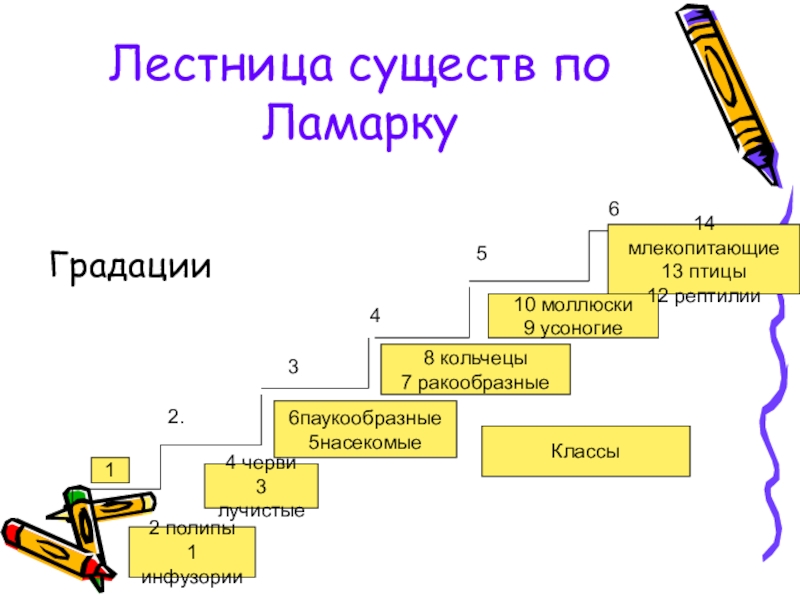 История Додарвинского периода Лестница существ по ЛамаркуГрадацииКлассы12 полипы1 инфузории2.34564 черви3 лучистые6паукообразные5насекомые8 кольчецы7 ракообразные10 моллюски9 усоногие14 млекопитающие13 птицы12 рептилии Лестница существ по ЛамаркуГрадацииКлассы12 полипы1 инфузории2.34564 черви3 лучистые6паукообразные5насекомые8 кольчецы7 ракообразные10 моллюски9 усоногие14 млекопитающие13 птицы12 рептилии