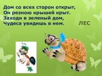 Презентация по окружающему миру на тему Какие бывают растения? (2 класс)