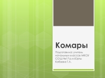 Презентация по окружающему миру 1 класс