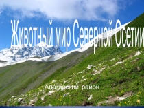 Презентация к уроку окружающего мира Животный мир Северной Осетии, 4 класс.