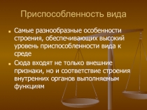 Урок по теме: Приспособленность животных среде обитания