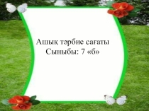 Қожа Ахмет Яссауи кесенесі