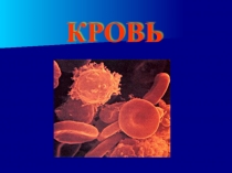 Урок презентация Строение крови. Иммунитет
