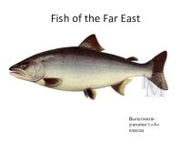 Презентация по английскому языку на тему: Fish of the Far East