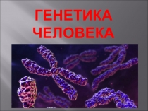 Презентация по общей биологии на тему Генетика человека