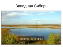 Презентация по географии на тему: Западная Сибирь