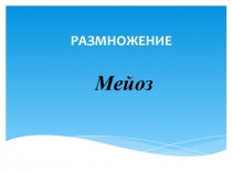 Презентация по биологии на тему Размножение, мейоз