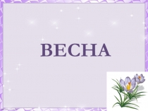 Урок. Презентация Времена года