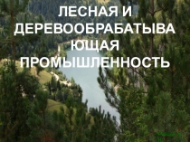 Презентация Деревообрабатывающая промышленность Казахстана, 9 класс