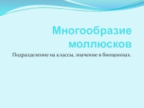 Многообразие моллюсков, подразделение на классы. Значение в биоценозах.