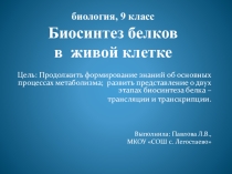 Презентация по биологии, 9 класс, на тему Биосинтез белков в живой клетке