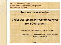 Презентация Природные целители луга села Сергеевки